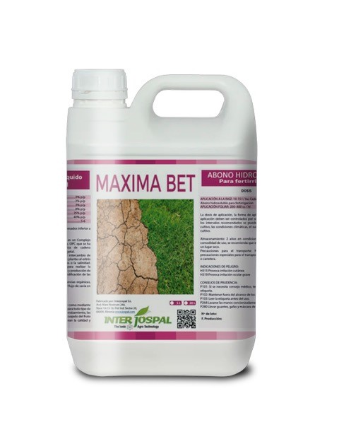 MAXIMA BET