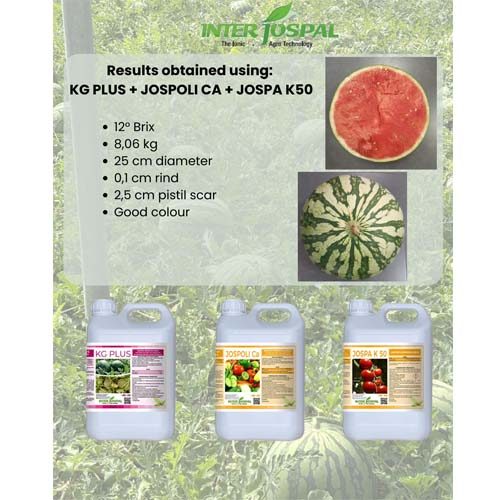 balanced_grow_watermelon